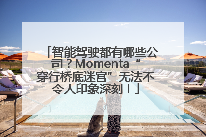 智能驾驶都有哪些公司？Momenta“穿行桥底迷宫”无法不令人印象深刻！